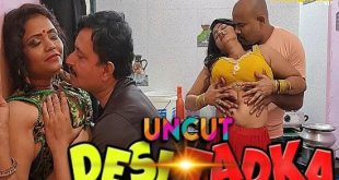 Desi Tadka (2023) UNCUT Hindi Short Film Neonx